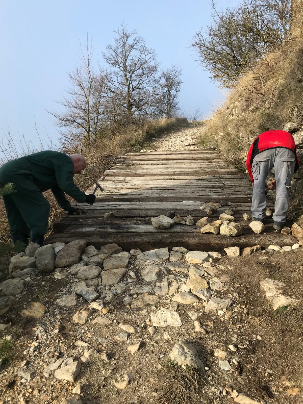 2026 : Poursuite des travaux et la Tour bientôt visitable !
